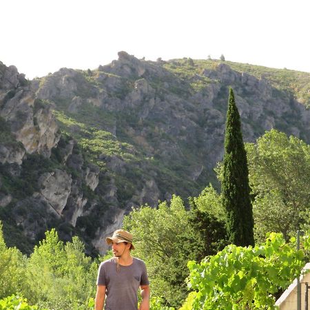 Villa Ripaud, Private River Swimming, Hot Tub Villeseque-des-Corbieres Exterior photo